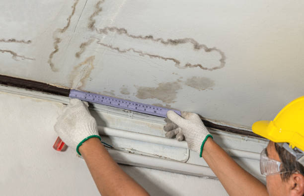 Reliable Sewage Cleanup contractor in Baileyville, IL by Water Damage Irwin